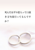死んだはずの恋人って口説き文句流行ってるんですか？/の小説